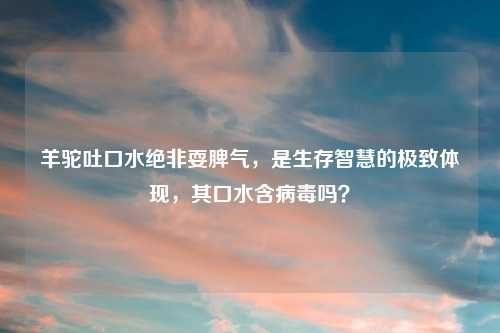 羊驼吐口水绝非耍脾气，是生存智慧的极致体现，其口水含病毒吗？