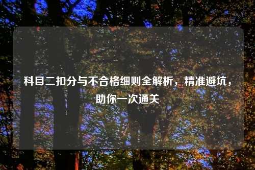 科目二扣分与不合格细则全解析，精准避坑，助你一次通关