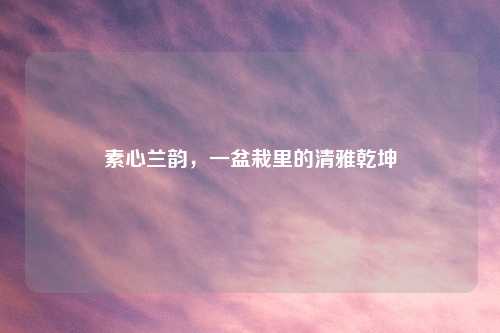 素心兰韵，一盆栽里的清雅乾坤