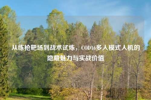 从练枪靶场到战术试炼，COD16多人模式人机的隐藏魅力与实战价值