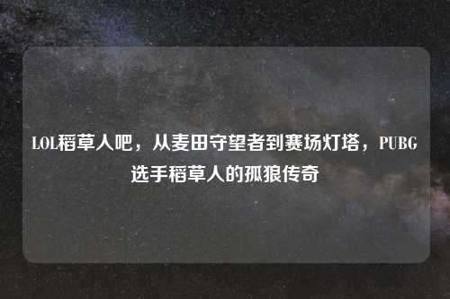 LOL稻草人吧，从麦田守望者到赛场灯塔，PUBG选手稻草人的孤狼传奇