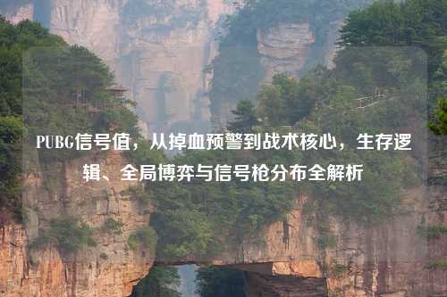 PUBG信号值，从掉血预警到战术核心，生存逻辑、全局博弈与信号枪分布全解析