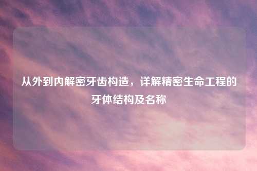 从外到内解密牙齿构造，详解精密生命工程的牙体结构及名称
