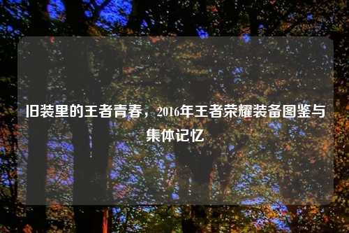 旧装里的王者青春，2016年王者荣耀装备图鉴与集体记忆