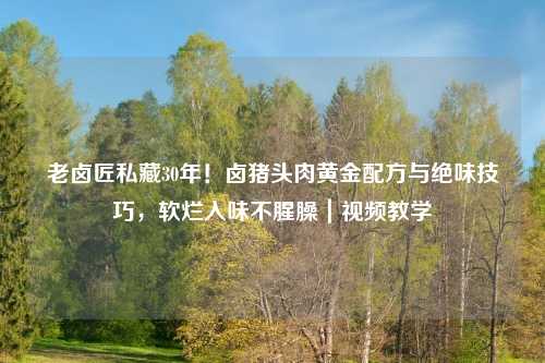 老卤匠私藏30年！卤猪头肉黄金配方与绝味技巧，软烂入味不腥臊｜视频教学
