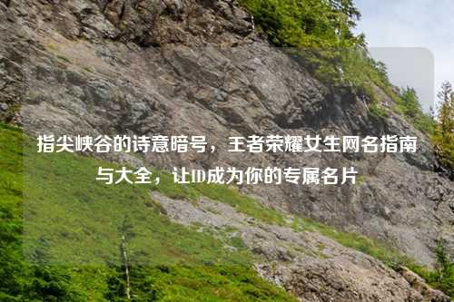 指尖峡谷的诗意暗号，王者荣耀女生网名指南与大全，让ID成为你的专属名片