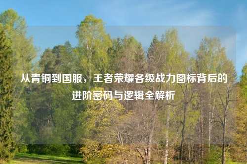 从青铜到国服，王者荣耀各级战力图标背后的进阶密码与逻辑全解析