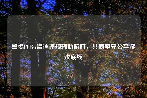 警惕PUBG温迪违规辅助陷阱，共同坚守公平游戏底线