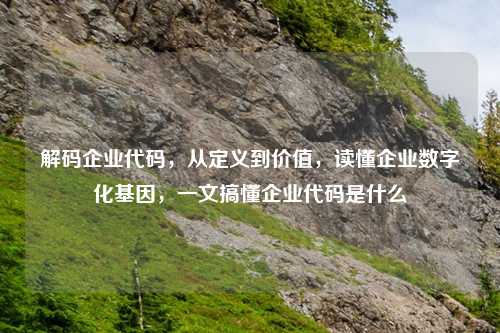 解码企业代码，从定义到价值，读懂企业数字化基因，一文搞懂企业代码是什么