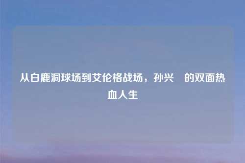 从白鹿洞球场到艾伦格战场，孙兴慜的双面热血人生