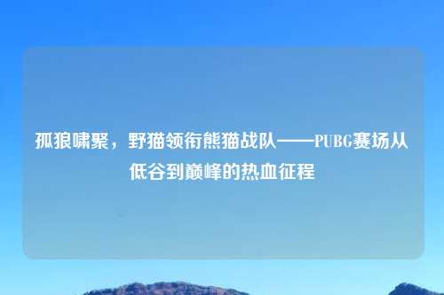 孤狼啸聚，野猫领衔熊猫战队——PUBG赛场从低谷到巅峰的热血征程