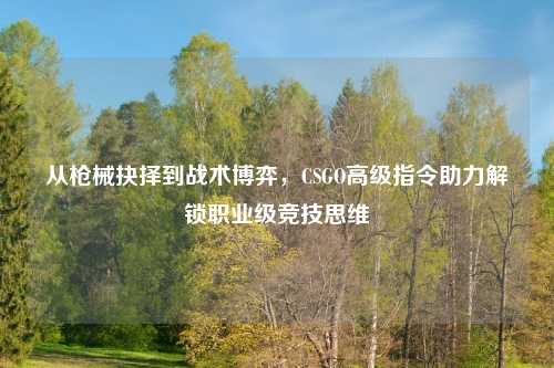 从枪械抉择到战术博弈，CSGO高级指令助力解锁职业级竞技思维
