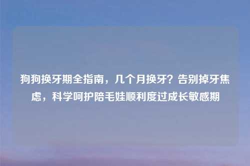 狗狗换牙期全指南，几个月换牙？告别掉牙焦虑，科学呵护陪毛娃顺利度过成长敏感期