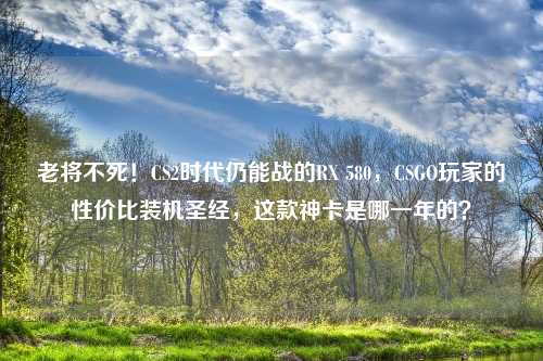 老将不死！CS2时代仍能战的RX 580，CSGO玩家的性价比装机圣经，这款神卡是哪一年的？