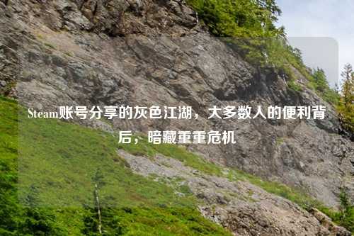 Steam账号分享的灰色江湖，大多数人的便利背后，暗藏重重危机