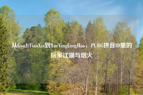 从GouJiTianXia到XueYingLangHao，PUBG拼音ID里的玩家江湖与烟火