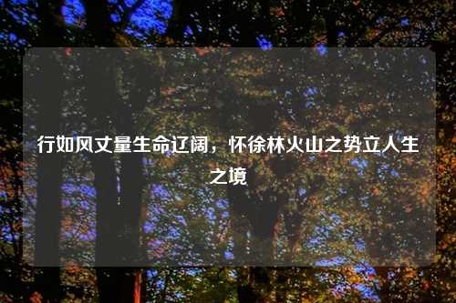 行如风丈量生命辽阔，怀徐林火山之势立人生之境
