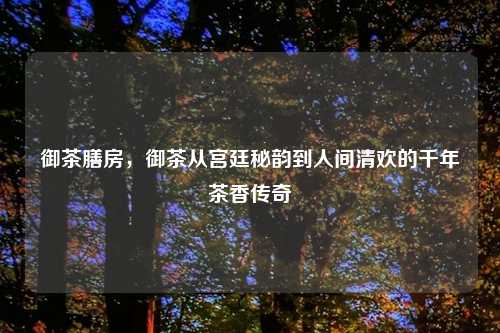 御茶膳房，御茶从宫廷秘韵到人间清欢的千年茶香传奇