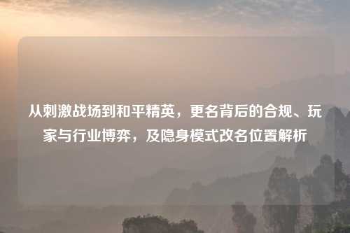 从     战场到和平精英，更名背后的合规、玩家与行业博弈，及隐身模式改名位置解析