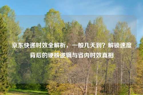 京东快递时效全解析，一般几天到？解锁速度背后的硬核逻辑与省内时效真相
