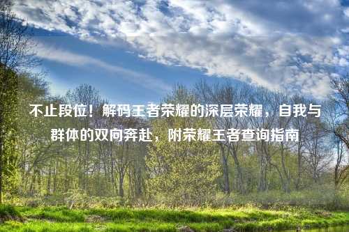 不止段位！解码王者荣耀的深层荣耀，自我与群体的双向奔赴，附荣耀王者查询指南