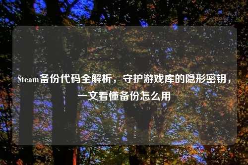 Steam备份代码全解析，守护游戏库的隐形密钥，一文看懂备份怎么用