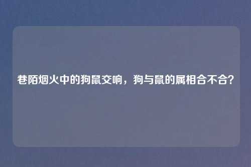 巷陌烟火中的狗鼠交响，狗与鼠的属相合不合？