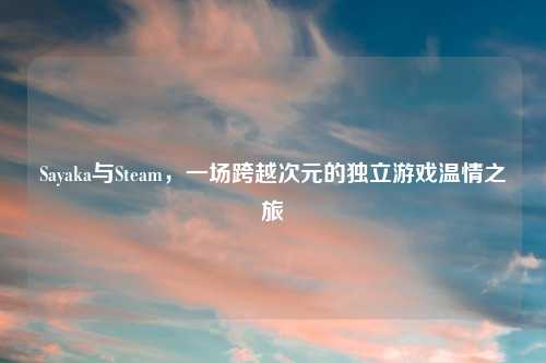 Sayaka与Steam，一场跨越次元的独立游戏温情之旅