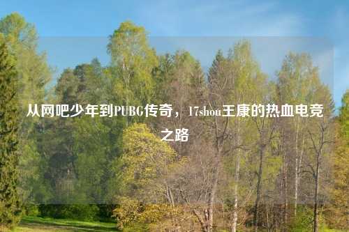 从网吧少年到PUBG传奇，17shou王康的热血电竞之路