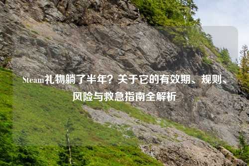 Steam礼物躺了半年？关于它的有效期、规则、风险与救急指南全解析