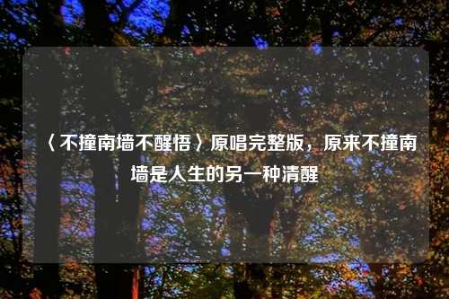 〈不撞南墙不醒悟〉原唱完整版，原来不撞南墙是人生的另一种清醒