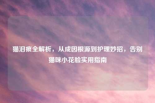 猫泪痕全解析，从成因根源到护理妙招，告别猫咪小花脸实用指南