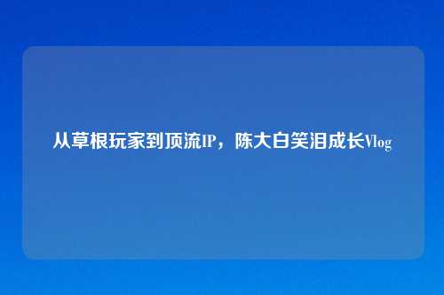 从草根玩家到顶流IP，陈大白笑泪成长Vlog