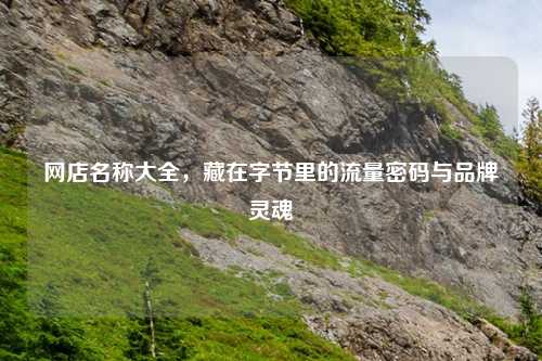 网店名称大全，藏在字节里的流量密码与品牌灵魂