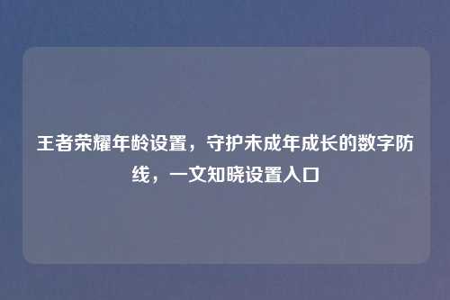 王者荣耀年龄设置，守护未成年成长的数字防线，一文知晓设置入口