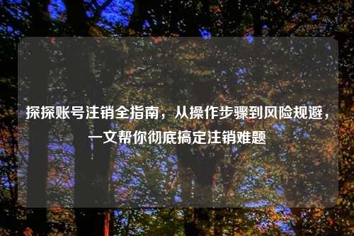 探探账号注销全指南，从操作步骤到风险规避，一文帮你彻底搞定注销难题
