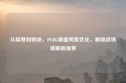 从暗巷到明途，PUBG画面亮度优化，解锁战场清晰新视界