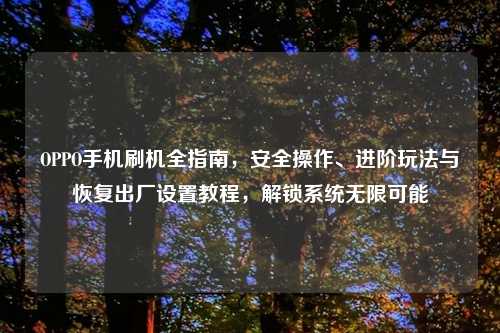 OPPO手机刷机全指南，安全操作、进阶玩法与恢复出厂设置教程，解锁系统无限可能