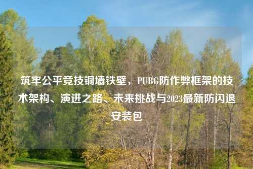 筑牢公平竞技铜墙铁壁，PUBG防作弊框架的技术架构、演进之路、未来挑战与2023最新防闪退安装包