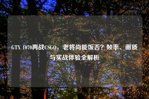 GTX 1070再战CSGO，老将尚能饭否？帧率、画质与实战体验全解析