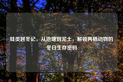 蛙类越冬记，从池塘到泥土，解锁两栖动物的冬日生存密码
