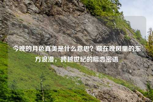 今晚的月色真美是什么意思？藏在晚风里的东方浪漫，跨越世纪的暗恋密语