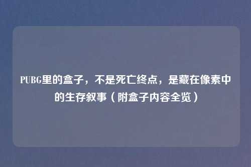 PUBG里的盒子，不是死亡终点，是藏在像素中的生存叙事（附盒子内容全览）