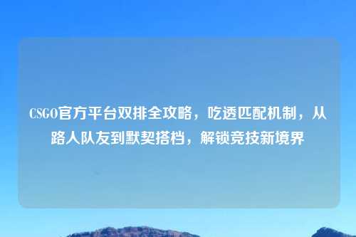 CSGO官方平台双排全攻略，吃透匹配机制，从路人队友到默契搭档，解锁竞技新境界