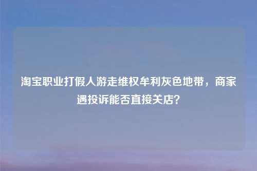      职业打假人游走     牟利灰色地带，商家遇投诉能否直接关店？