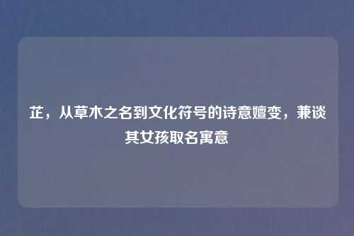 芷，从草木之名到文化符号的诗意嬗变，兼谈其女孩取名寓意