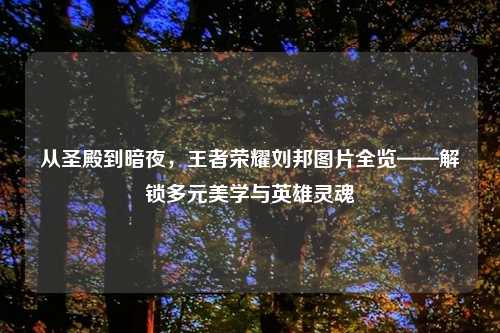 从圣殿到暗夜，王者荣耀刘邦图片全览——解锁多元美学与英雄灵魂