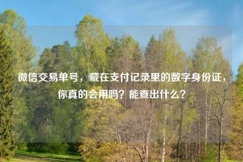 微信交易单号，藏在支付记录里的数字身份证，你真的会用吗？能查出什么？