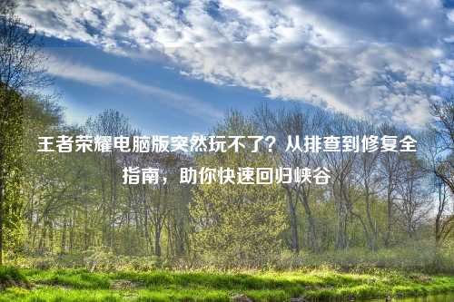 王者荣耀电脑版突然玩不了？从排查到修复全指南，助你快速回归峡谷