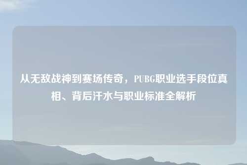 从无敌战神到赛场传奇，PUBG职业选手段位真相、背后汗水与职业标准全解析